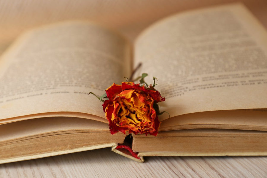 Ronald K. Fried on Martin Amis (1949 – 2023): “As a Devoted Reader of His Work, I Am in Mourning.”