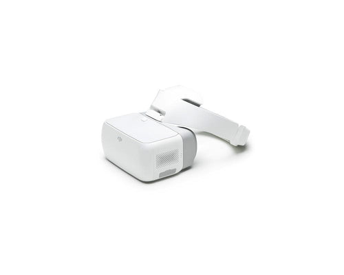 DJI Goggles
